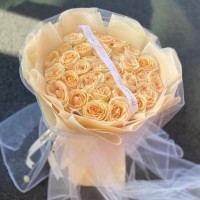 ࿲ʻٵ