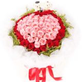 ࿲ʻٵ
