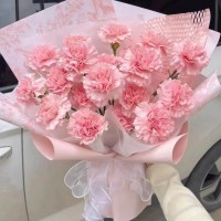 ࿲ʻٵ
